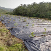 Rouleau de toile de paillage agricole en PP à prix attractif, durable, noir, anti-mauvaises herbes, perméable, respirant, durée de vie de 3 à 5 ans, 0,4 m x