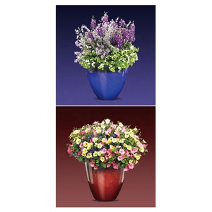 Pot de fleurs rond pour le jardin, poêle à œufs à effet glacé, 13 ", Patio, plante - Product Image 6