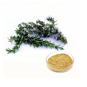 Herstellerlieferung Rosmarin-Extrakt Mehrere Spezifikationen Schnelle Lieferung Unabhängige Prüfung - Product Image 5