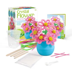 Diy Kid Science Discover Science Toy Craft Your Own Crystal Science Lab Crystal Flower Growing Kits