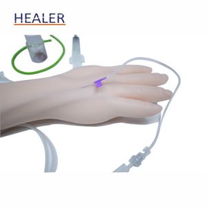 Kit de <span class=keywords><strong>brazo</strong></span> de entrenamiento IV, <span class=keywords><strong>brazo</strong></span> de práctica de inyección intravenosa de Maniquí de PVC para escuelas y modelo humano de sutura - Product Image 3