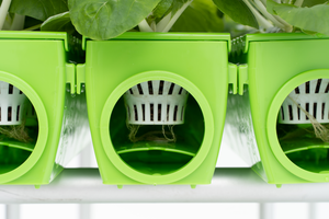 Conjunto verde de sistema hidropónico funcional jardín exterior - Product Image 6