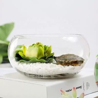 Mini-bol en verre de haute qualité pour aquarium, décoration hydroponique, vase pour plantes, ornement de bureau pour Betta et tortue