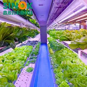 <span class=keywords><strong>Fattoria</strong></span> in Container per Fragole con Sistema <span class=keywords><strong>di</strong></span> Illuminazione LED, Serra in Container da 40ft/20ft per Verdure a Foglia Larga e Funghi - Product Image 6