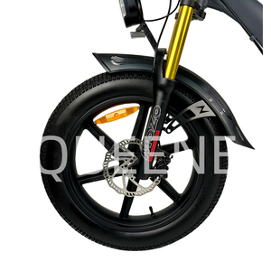 Offre Spéciale longue portée 20 "1000 watts moteur à grande vitesse montagne E Bike neige vélo électrique avec sièges enfant - Product Image 2