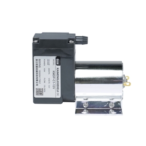 Sans huile faible consommation d'énergie résistance à la Corrosion Mini moteur électrique Dc 24v beauté pompe à vide - Product Image 2