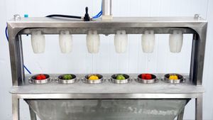 Machine automatique à prix d'usine pour retirer le cœur et couper les poivrons verts en bandes - Product Image 3