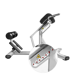 Équipement de fitness commercial pour salle de sport avec plaques de poids, incluant un banc d'extension dorsale et une chaise romaine - Product Image 6