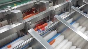 Machine à couper les carottes, <span class=keywords><strong>prix</strong></span> direct usine, 9600 pièces/heure - Product Image 4