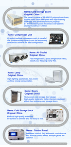 Salles de refroidissement transportables pour les denrées périssables provisoires, entreposage au froid mobile avec la capacité de refroidissement rapide - Product Image 6
