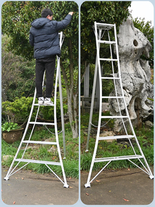 Aluminum Industrial Design Exterior Outdoor Garden <strong>Ladder</strong> High Strength Anti-Rust 300kg Load Capacity Folding/<strong>Telescopic</strong> Fruit - Product Image 5