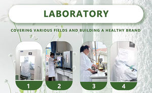 Penjualan laris bubuk <span class=keywords><strong>moringa</strong></span> organik bubuk daun <span class=keywords><strong>moringa</strong></span> - Product Image 3