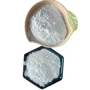 Heavy Industrial Grade Calcium Carbonate Powder Manufacturer Sale CaCo3 for Various Industrial Uses