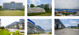 חומר טיהור מים עפרות אלום 99% אשלגן אלומיניום סולפט אבקת לטיפול במים בריכת שחייה - Product Image 3