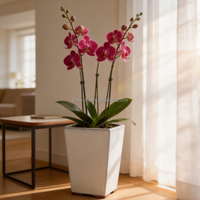 Pot de fleurs décoratif en céramique carré et haut, style vintage, blanc verni, pour plantes d'intérieur