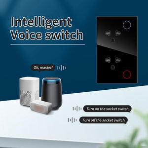 Pérou thaïlande Standard Double prise Tuya Smart WiFi 15A PC panneau <span class=keywords><strong>de</strong></span> verre pour <span class=keywords><strong>salle</strong></span> <span class=keywords><strong>de</strong></span> <span class=keywords><strong>bain</strong></span> Alexa Google Home commande vocale niveau IP66 - Product Image 6