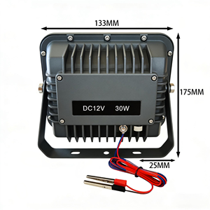 ไฟส่องสว่างแบบเหนี่ยวนำสำหรับภายนอกอาคาร กำลังไฟต่ำ 30w DC12v แบบพกพา กันน้ำ IP65 พร้อมสายทองแดง วัสดุ ABS สำหรับสวน ขายส่ง - Product Image 2