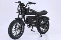 Vélo électrique de style nouveau 1500W 3000W 48V 30AH 60AH avec pneus larges, vélo électrique de montagne, de neige et de ville