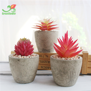 Cây giả xương rồng <span class=keywords><strong>mini</strong></span> chất lượng cao, trồng chậu, trang trí nhà cửa, văn phòng, bàn làm việc - Product Image 6