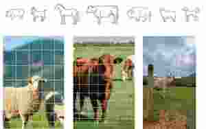 Recinzione Agricola AS/NZS per Bestiame Australiano, Cavalli, Pecore e Capre - Product Image 5