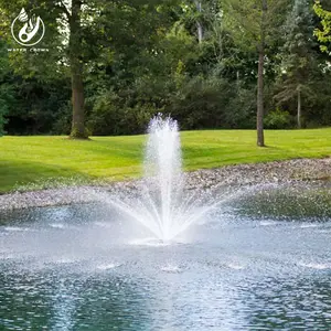 Corona de agua interior o exterior de lujo agua característica lago pequeño baile musical estanque flotante fuente