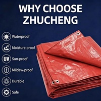 Film de paillage agricole XUDA en HDPE avec protection UV, couverture de serre avec service de découpe, origine Shandong