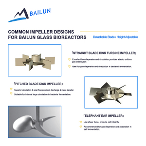 Bioreattori Fermentatori 2lt 5l 15 20l, Fermentatore a Doppia Parete Incamiciata, Serbatoio di Fermentazione, Bioreattore per Coltura di Microrganismi in Vetro, RPM - Product Image 3