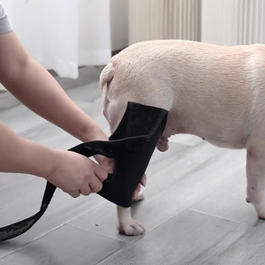 Ginocchiera <span class=keywords><strong>per</strong></span> <span class=keywords><strong>cani</strong></span> da compagnia all'ingrosso - Product Image 3