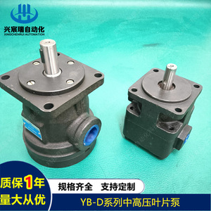 Xingchenrui Yb D Series Medium High Pressure Vane <b>Pump</b> Ybd20 Ybd25 Ybd32 Ybd31.5 Ybd40 For Test <b>Pump</b> - Product Image 5