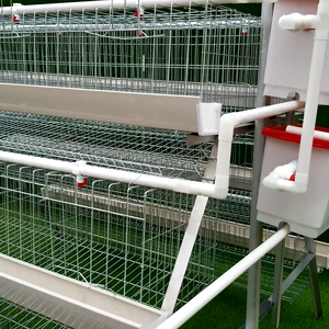 Marchés avicoles du Kenya, <span class=keywords><strong>cage</strong></span> de capacité 160 oiseaux, <span class=keywords><strong>cage</strong></span> à poules pondeuses <span class=keywords><strong>d</strong></span>'<span class=keywords><strong>occasion</strong></span> pour 5000 oiseaux, petites exploitations - Product Image 4