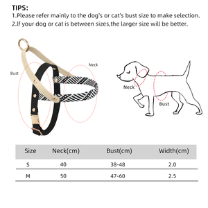 カスタムロゴ犬用ハーネス軽量ファッションPVCクリエイティブフラットウェビングパターン犬用ウォーキングスポーツランニングアウトドアハーネス - Product Image 6