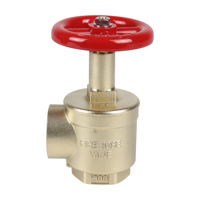 Robinet de tuyau d'hydrant d'incendie à angle droit en laiton avec adaptateur de tuyau d'hydrant