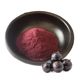 Cấp thực phẩm bán buôn số lượng lớn Hữu Cơ đóng băng khô Blackcurrant nho đen chiết xuất bột - Product Image 1