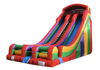 Toboggan gonflable commercial arc-en-ciel à double piste pour enfants, idéal pour la location événementielle