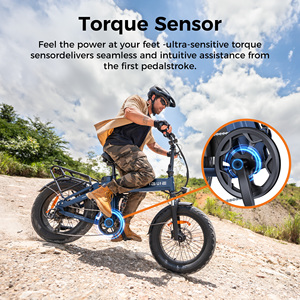 Bicicleta Eléctrica Plegable Todoterreno Engwe Engine Pro 3.0 con Suspensión Completa y Neumáticos Anchos, 120 KM de Autonomía Máxima, Disponible en la UE y el Reino Unido - Product Image 6