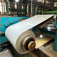 Bobine d'acier prélaqué de haute qualité à prix avantageux, 0,13 mm à 3 mm, certifiée JIS, avec services de pliage et de soudage