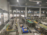 Geconcentreerde fruitbasis productie-eenheid fruitsapfabriek complete machines complete set turnkey productielijn