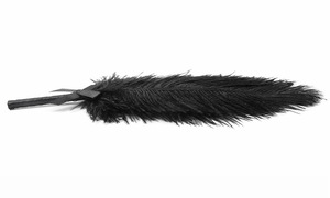 Jouets sexuels pour couples SM, jeux de rôle, flirt, taquinerie, bâtonnet à plumes, fessée, stimulation, taquinerie - Product Image 5