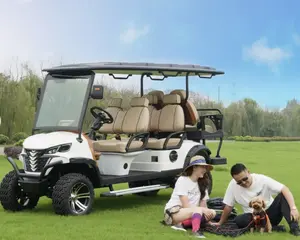 Modern Fashion Brand Design Motor Carbon Brush Electric 6-Passenger Epic Brand Golf Cart