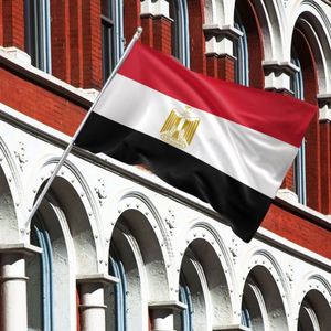 High Quality Custom 3x5 Pennant <b>Flags</b> of All Countries Including Egyptian Made of Cloth with Custom Logo Factory Prices - Product Image 3