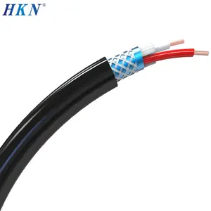 Fil électrique SFTP Câble RVVP à 2 noyaux Câble d'alimentation blindé multiple 0.5mm PVC OFC isolé et gaine en PVC