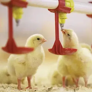 Automatic Chicken Water Nipple Drinker Plastic Poultry Drinkers Line