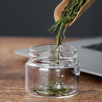 Bouteille à emporter pour sportif en plein air, infuseur à thé en verre pour infusion à boire, pour le voyage