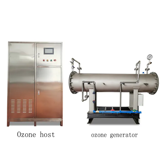 500g 1000g ozônio máquina para a água do mar dessalinização e aquicultura tratamento de águas residuais Alta concentração PSA oxigênio fonte ozo