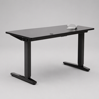 Bureau de travail électrique moderne à hauteur réglable, double moteur, ergonomique, pour ordinateur, mobilier de bureau assis-debout