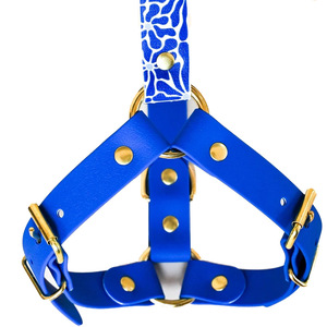 Custom Patterned Pvc <b>Dog</b> <b>Leash</b> Medium Large Breed Chest Strap Harness Customizable Design For Pets - Product Image 3