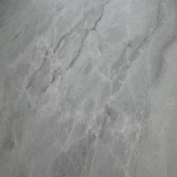 Nouvelle Arrivée : Dalle de Pierre Frittée Gery, Dalle de Roche de Foshan, Porcelaine Brillante pour Sol de Salon
