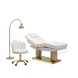Moderna y Lujosa Camilla de Masaje Eléctrica de Acero Inoxidable con Doble Columna y 4 Motores para Salón de Belleza, con Iluminación LED - Product Image 3