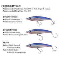 WEI 215mm/130g leurre de pêche flottant plongée Stickbaits eau salée gros jeu leurres de pêche