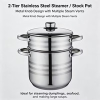 Ensemble de casseroles en acier inoxydable à 2 niveaux, cuiseur vapeur, couvercle de casserole, compatible induction et gaz, passe au lave-vaisselle, écologique, capacité de 4 à 14 L